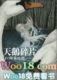 天鹅碎片(NPH)